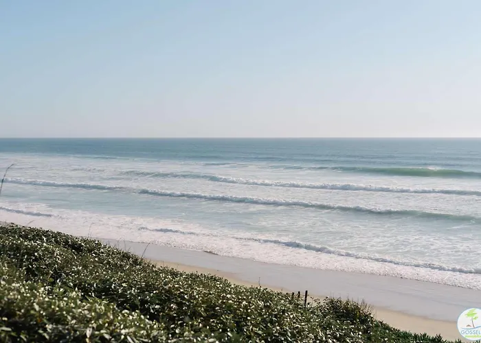 Duplex Pour 4 Personnes * Biscarrosse