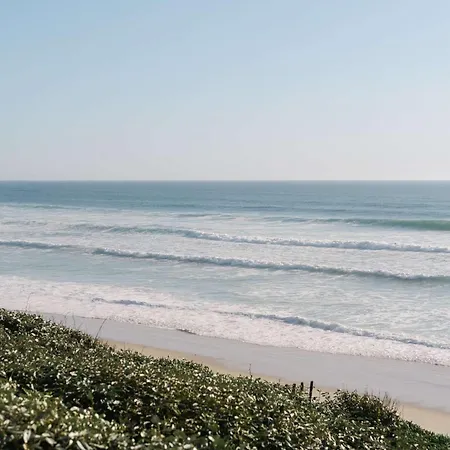 Duplex Pour 4 Personnes * 비스카로세