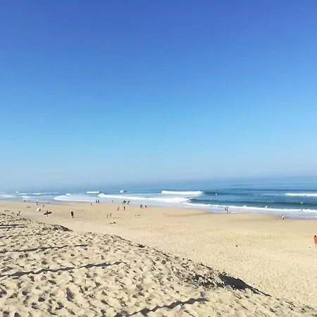 Duplex Pour 4 Personnes * 비스카로세