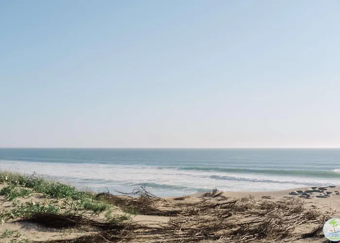 Apartment Duplex Pour 4 Personnes Biscarrosse