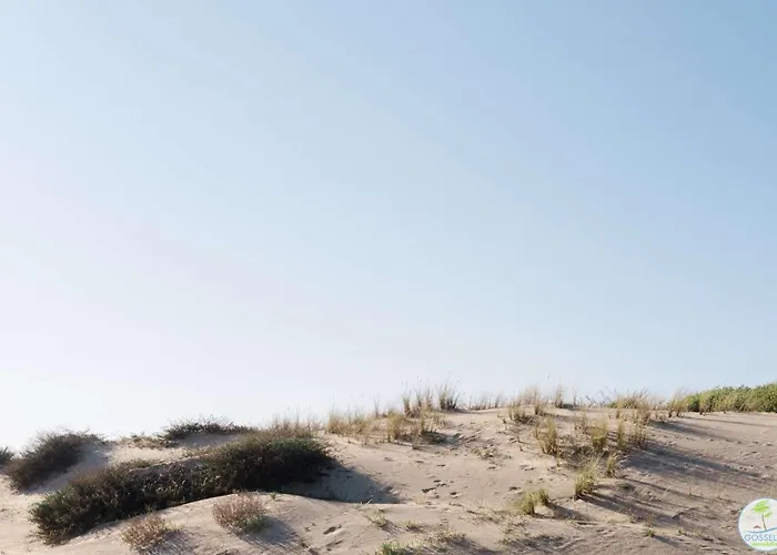 Duplex Pour 4 Personnes Apartment Biscarrosse